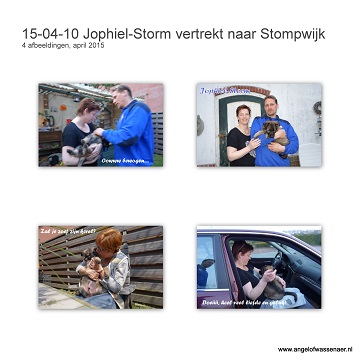 Storm gaat in Stompwijk wonen